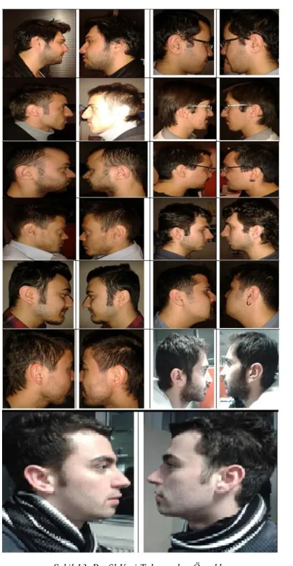 Şekil 13. Profil Veri Tabanından Örnekler 