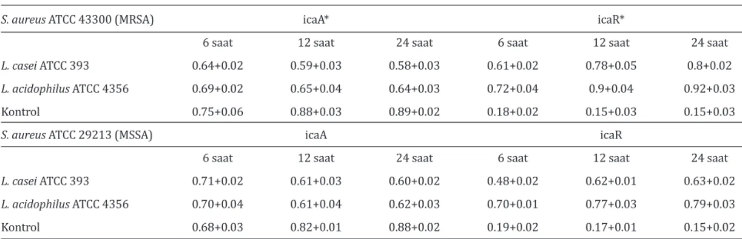 Tablo 2. MRSA ve MSSA icaA ve icaR gen ekspresyonlarına L. casei ve L. acidophilus’un etkisinin saatlere göre dağılımı  (ortalama değer + standart sapma)