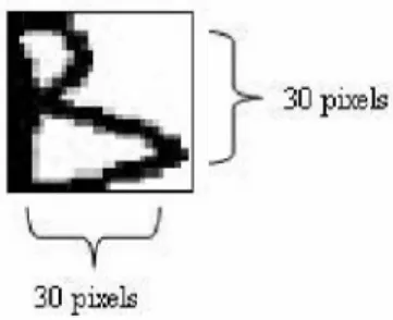 Figure 2: A 30 x 30 'B' Character 