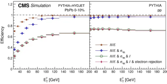 Figure 2. Efficiency of the isolated photon detection as a function of E γ