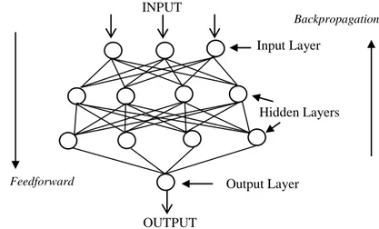 Figure 1. Multilayer perceptrons and feedforwarding networks 