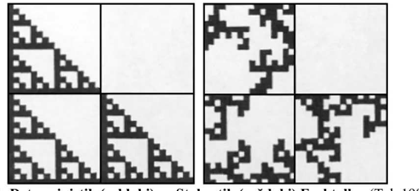 Şekil 1. Deterministik (soldaki) ve Stokastik (sağdaki) Fraktallar (Tel, 1988)  Pamuk fiyatı zaman serilerinin farklı zaman ölçeklerinde benzer olduğu amprik  gözleminden hareketle Mandelbrot (1963) fraktal finans teorisinin oluşmasında çok  önemli katkıla