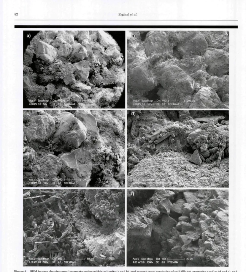 Figure 4. SEM images showing angular quartz grains within eolianite (a and b), and cement types consisting of void fills (c), aragonite needles (d and e), and reciprocal micrite rims (f).