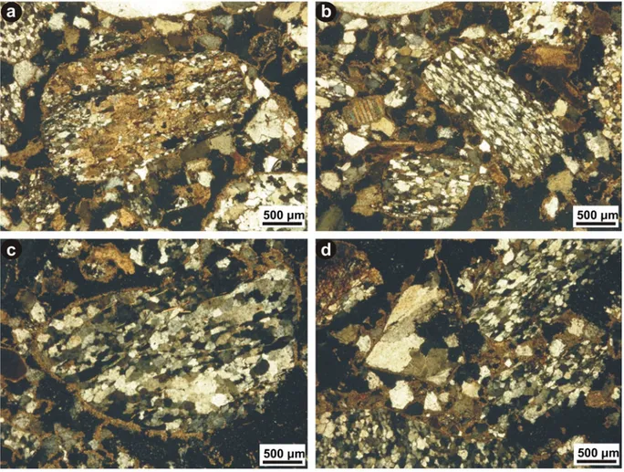 Figure 3. Thin-section images obtained from exposed (a, b) and submerged (c, d) sections of beachrock