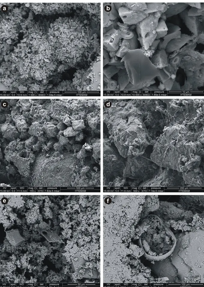 Figure 4. SEM images of beachrock samples showing micro-organism borings, pseudopeloidal aggregates of random-oriented high- high-Mg calcite crystals with scalenohedral habits within exposed beachrock near coastline (a, b); very thin (&lt;10 μm) envelopes 