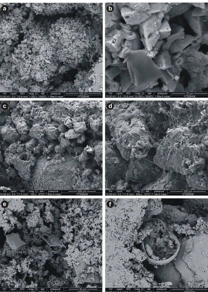 Figure 4. SEM images of beachrock samples showing micro-organism borings, pseudopeloidal aggregates of random-oriented high- high-Mg calcite crystals with scalenohedral habits within exposed beachrock near coastline (a, b); very thin (<10 μm) envelopes 