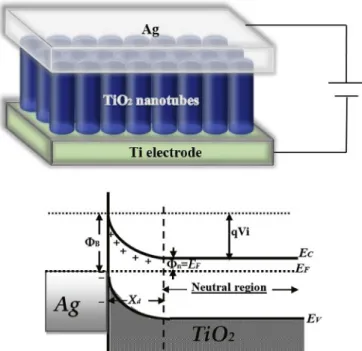 Fig. 1. Schematic cross-section of device structure and energy-band diagram without any bias of Ag/TiO 2 NTAs Schottky device.