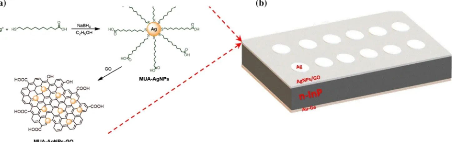 Figure 2 shows the Raman spectra of the GO film coated by the spin coating on glass, the  MUA-AgNPs-GO nanocomposite films coated by the spin coating on glass and on n-InP substrates