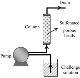 Figure 1 | A schematic diagram for the dynamic ion adsorption tests.