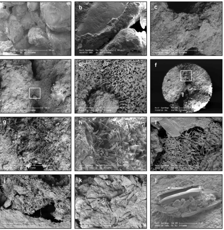 Fig. 5. SEM images of beachrock cements. (a) General view, (b) micritic coating, (c, d, f) meniscus bridge, (e) closer view of this bridge, (g) closer view of algal ﬁlaments, (d, e) aragonite crystals, (i, j) pore-ﬁlling cement consisting of aragonite crys