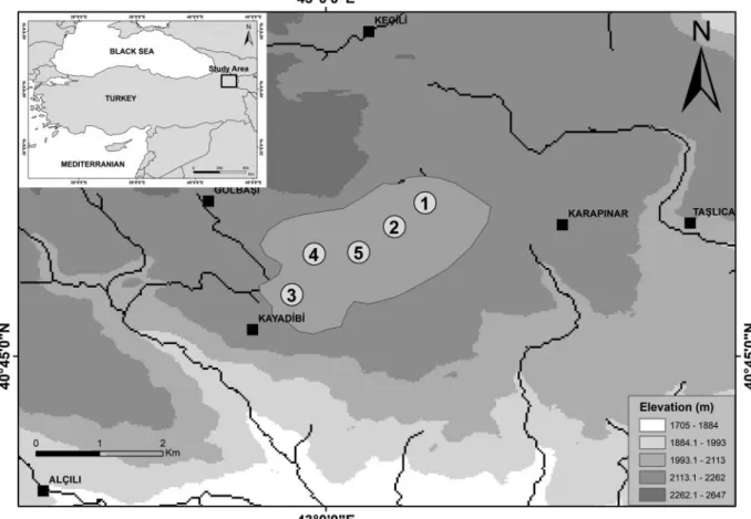 Figure 1. Location of study area and sampling stations.