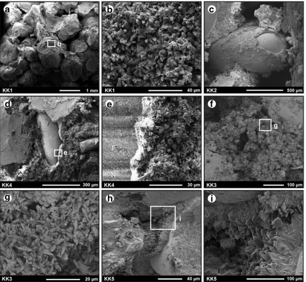 Fig. 4. SEM images from beachrock samples. (a–e) Thick micrite coatings. These coatings are typical in all samples; (a) all samples have high void ratio; (b) close-up view of white square in (a), showing that calcite surfaces are mostly marked by solution 