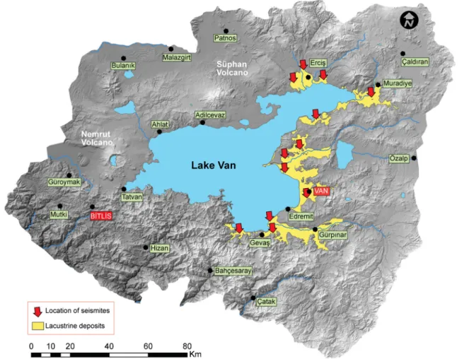 Fig. 3 Fossils and the sedimentary structures from ancient lacustrine deposits of Lake Van, a leaf fossil, b pelecipoda and gastropoda fossils, c wave ripples, and d trace fossils