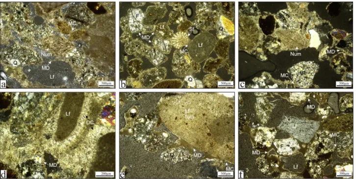 Fig. 3. Microphotographs showing petrographic characteristics of some representative samples from G€okçeada beachrock formations