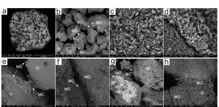 Fig. 4. Representative SEM images of beachrock samples (BC: bridge cement, cl: clasts, MC: meniscus cement, MD: micritic development)