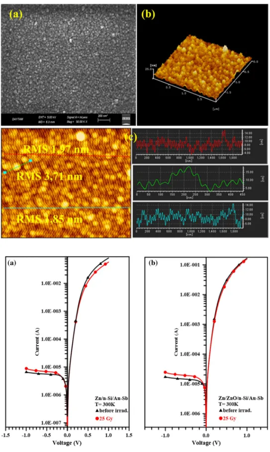 Fig. 3    The forward and reverse  bias I–V characteristics before  and after 25 gray electron  radia-tion doses, a the Zn/n-Si/Au–Sb  and b the Zn/ZnO/n-Si/Au–Sb