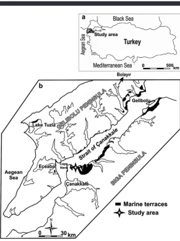 Figure 1. Location map of study area (a) and distribution of marine
