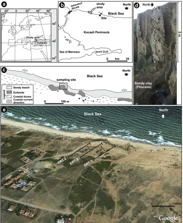 Fig. 1. Study area. (a, b) Location map, (c) simpliﬁed geomorphologic maps, (d) sampling sites (numbered downwards) from thickest outcrop of studied eolianite, (e) SWeNE trending ERT survey lines on Google earth image.