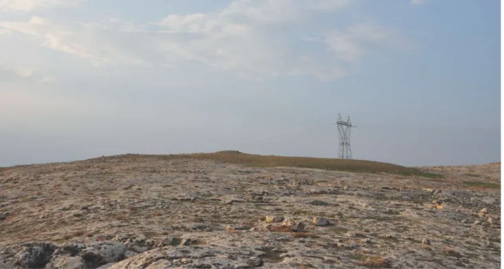 Fig. 2: View of Kurt Tepesi Settlement from South / Kurt Tepesi Yerleşiminin Güneyden Görünümü (Photo by B