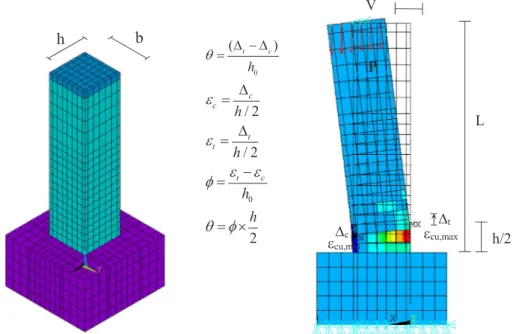 Fig. 2. Finite element model of RC column specimen tested by Ohno and Nishioka [31] displaying the necessary components of deformation calculations.