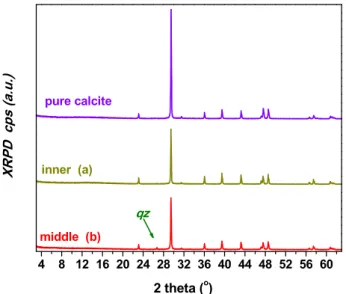Table 1 , the inner part of the rhizolith consists solely of calcium carbonate. The latter has been shown to yield a TL signal that grows with increasing radiation dose ( McDougal, 1968; Engin and Güven, 2000; Stirling et al., 2014 )