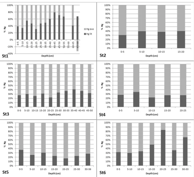 Fig. 5 Probable sources of Hg enrichment in Lake Ç ıldır sediments