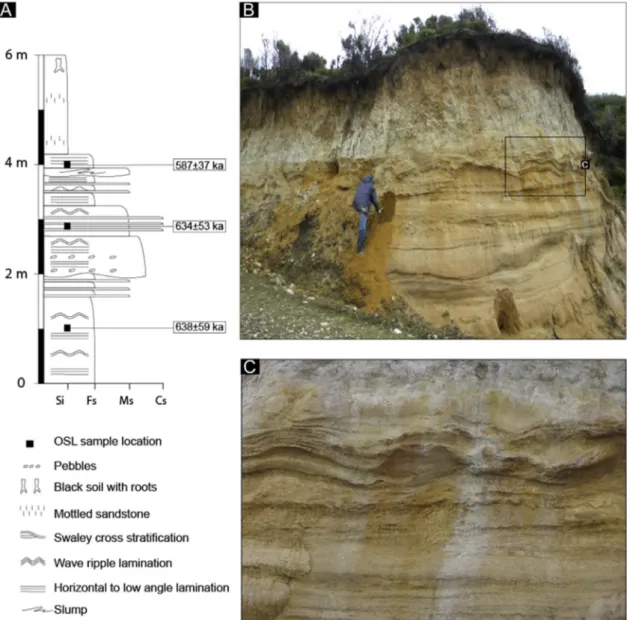 Fig. 9. (A) Stratigraphic section of the ICP1 sampling location in the northern part of the _Inceburun Promontory