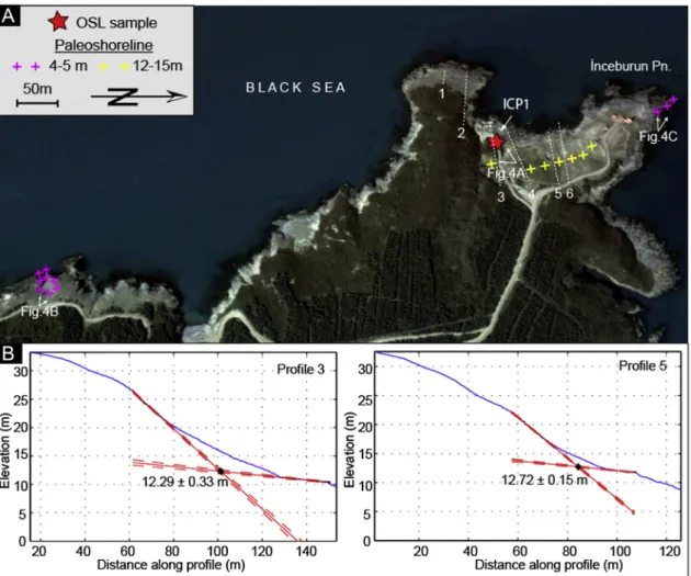 Fig. 5. (A) Image of the sampling location and uplifted shorelines at the _Inceburun Promontory