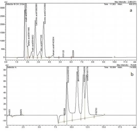 Fig. 1. A HPLC Chromatogram of organic acids (a) and sugars (a) for the R. iberica  