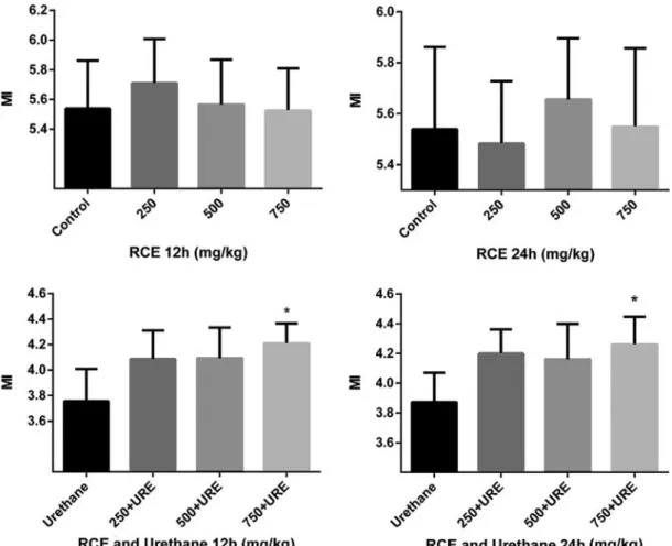 Figure 3. Mitotic index in bone marrow cells of rat administrated with different concentrations of Rhus coriaria extract and urethane for 12 or 24 h treatment period.