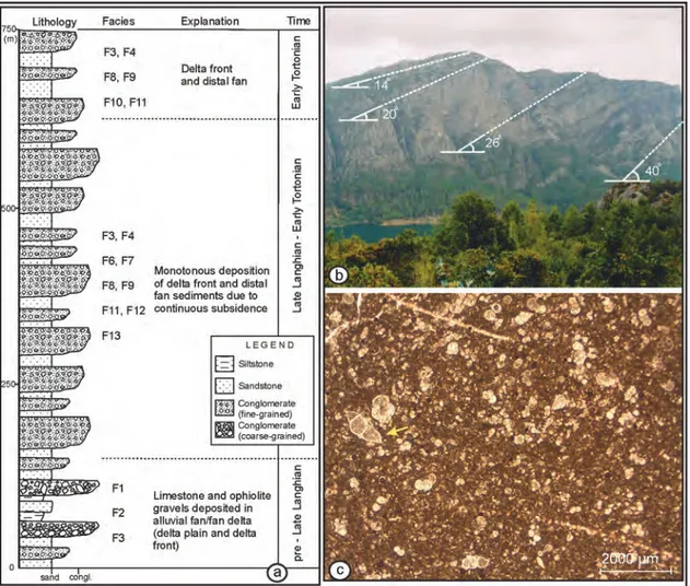 Figure 5. a) Measured stratigraphic section showing lithofacies and depositional subenvironments of the Karadağ FD 