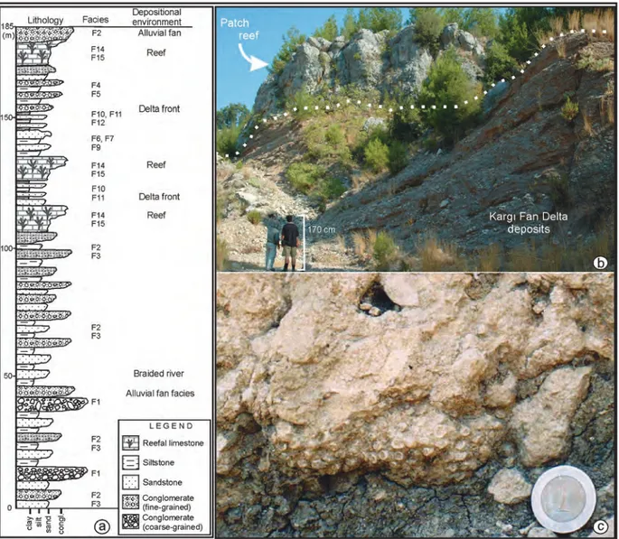 Figure 6. a) Measured stratigraphic section showing lithofacies and depositional subenvironments of the Kargı FD deposits