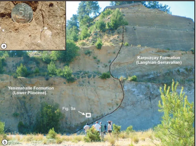 Figure 9. Incised valley eroded during the Messinian Crisis and the Pliocene infill. a) Close-up view of the Pliocene Yenimahalle 