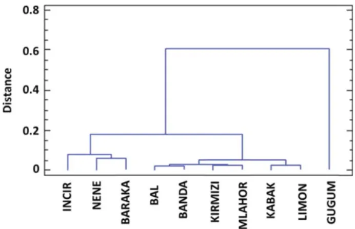 Figure 2. Dendrogram of pear varieties according to their pomological and biochemical properties.