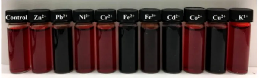 Fig. 1. Appearance of aqueous 1:1 mixtures of 1 mM CR and 1 mM of different metal cations