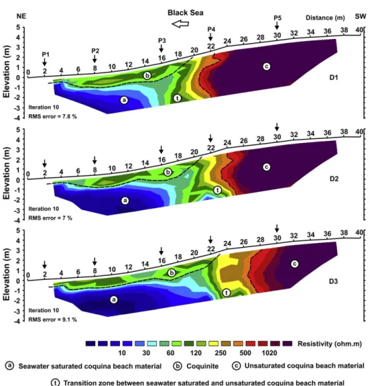 Fig. 4. Resistivity tomograms from the coquina beach taken perpendicular to the coastline beach