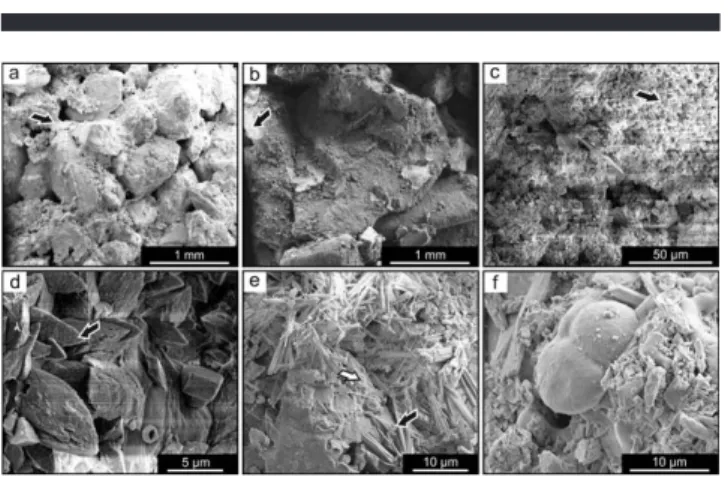 Figure 3. SEM images from beachrock: (a) poorly rounded coarse sands; (b) closer view of grains encrusted by micrite; (c) and (d) closer images of (b) showing scalenohedral high-Mg calcite crystals on micrite coatings; (e) aragonite needles; and (f) ostrac