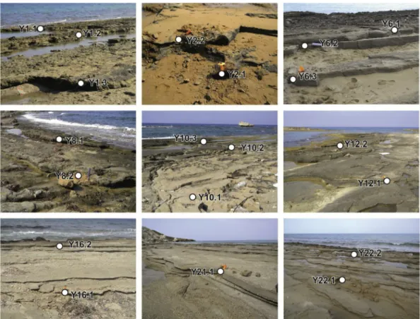 Fig. 2. Sampling positions on studied beds. See Fig. 1 b for location of sampled beds.