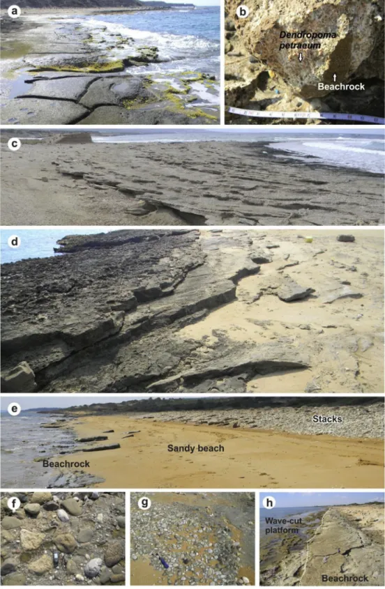 Fig. 3. (a) Algae colonies on uppermost surface of beachrock beds (site 10), (b) Dendropoma petraeum on outer edges of beachrock (site 10), (c, d) closer views of well-exposed beds (sites 17 and 6, respectively), (e) view of disintegrated beachrock and deb