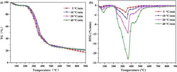 Fig. 2. (D)TG curves of WT pyrolysis at a heating rate of 10 °C/min.