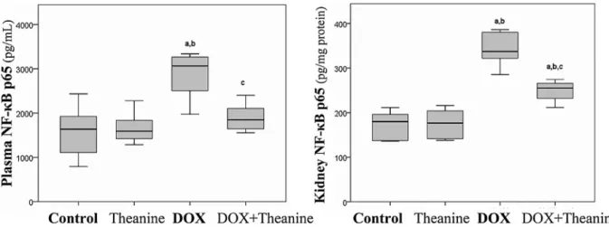 Fig. 7. E ﬀect of L-theanine on MDA levels in plasma and renal tissue (n = 8).