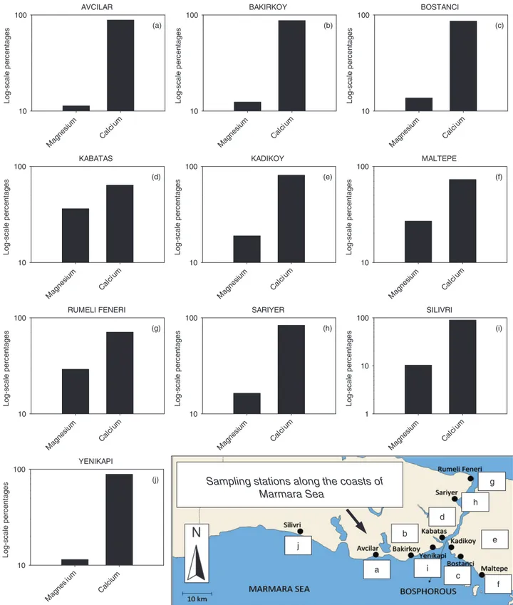 Figure 6. Percentage of contributions (log-scale) of natural or anthropogenic parameters (magnesium and calcium) calculated