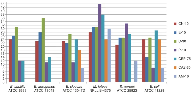 Fig. 1. Antimicrobial activities of standard antibiotics used as positive control