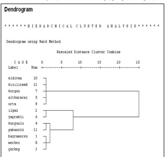 Tablo 1.  Hiyerarşik kümeleme analizi ağaç grafiği (Dendrogram)