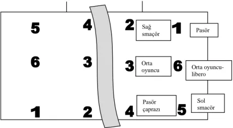 Şekil 1. Voleybol saha oyuncu pozisyonları  Figure 1. Volleyball field player positions 
