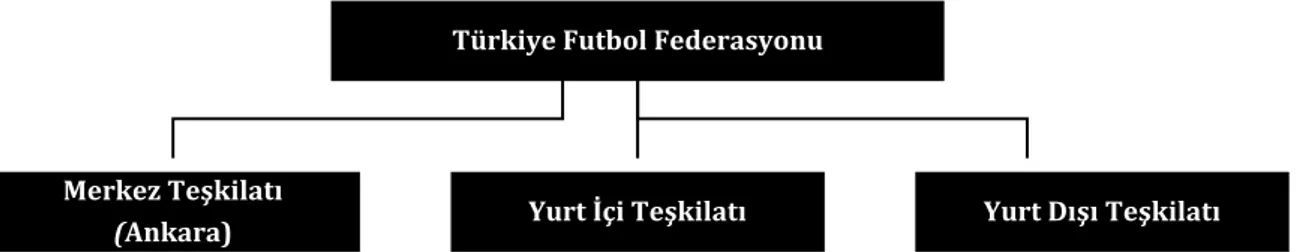 Şekil 4. 5894 Sayılı Kanuna Göre Türkiye Futbol Federasyonu Teşkilatı 