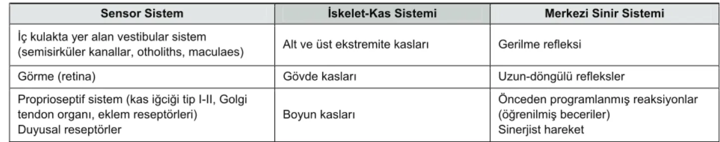 Tablo 1: Postural kontrol sistemleri (Kejonen, 2002). 