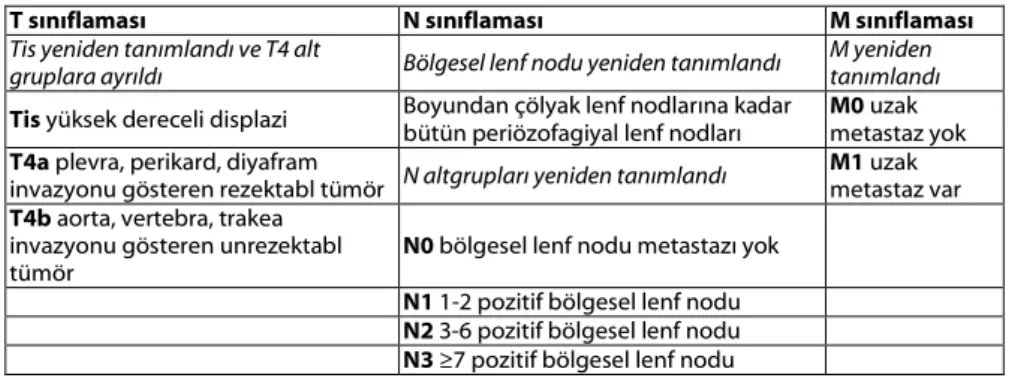 Tablo 3: Adenokarsinom yeni TNM evrelemesi 