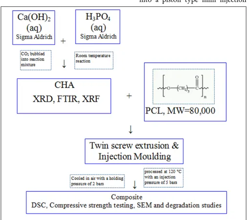 Figure 1: The schematic diagram of the CHA/PCL composite preparation 