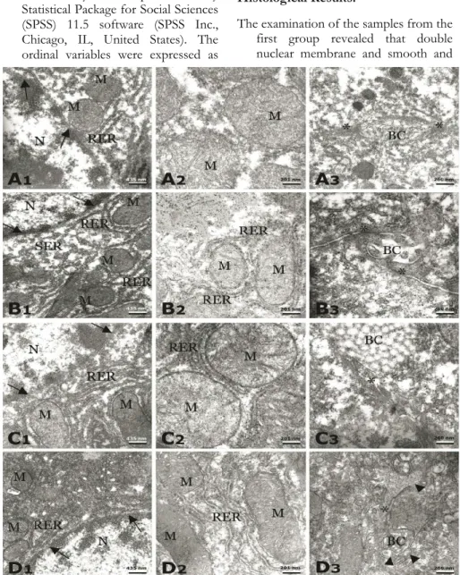 Figure 1: Transmission electron micrographs of Group 1 (A), 2 (B), 3 (C) and 4 (D). A1, B1, C1, D1;     